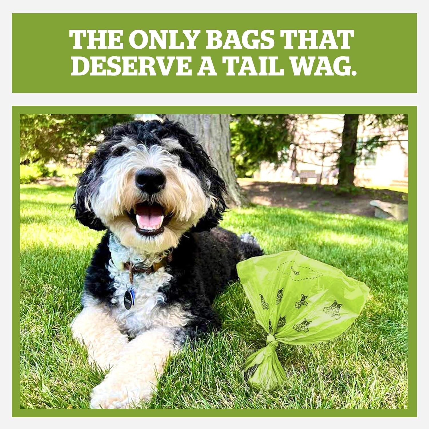 Pogi’S Poop Bags - 30 Unscented Rolls (450 Dog Poop Bags) - Leak-Proof, Earth-Friendly Poop Bags for Dogs