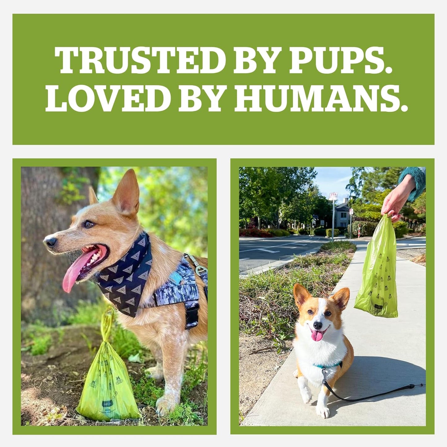 Pogi’S Poop Bags - 30 Unscented Rolls (450 Dog Poop Bags) - Leak-Proof, Earth-Friendly Poop Bags for Dogs